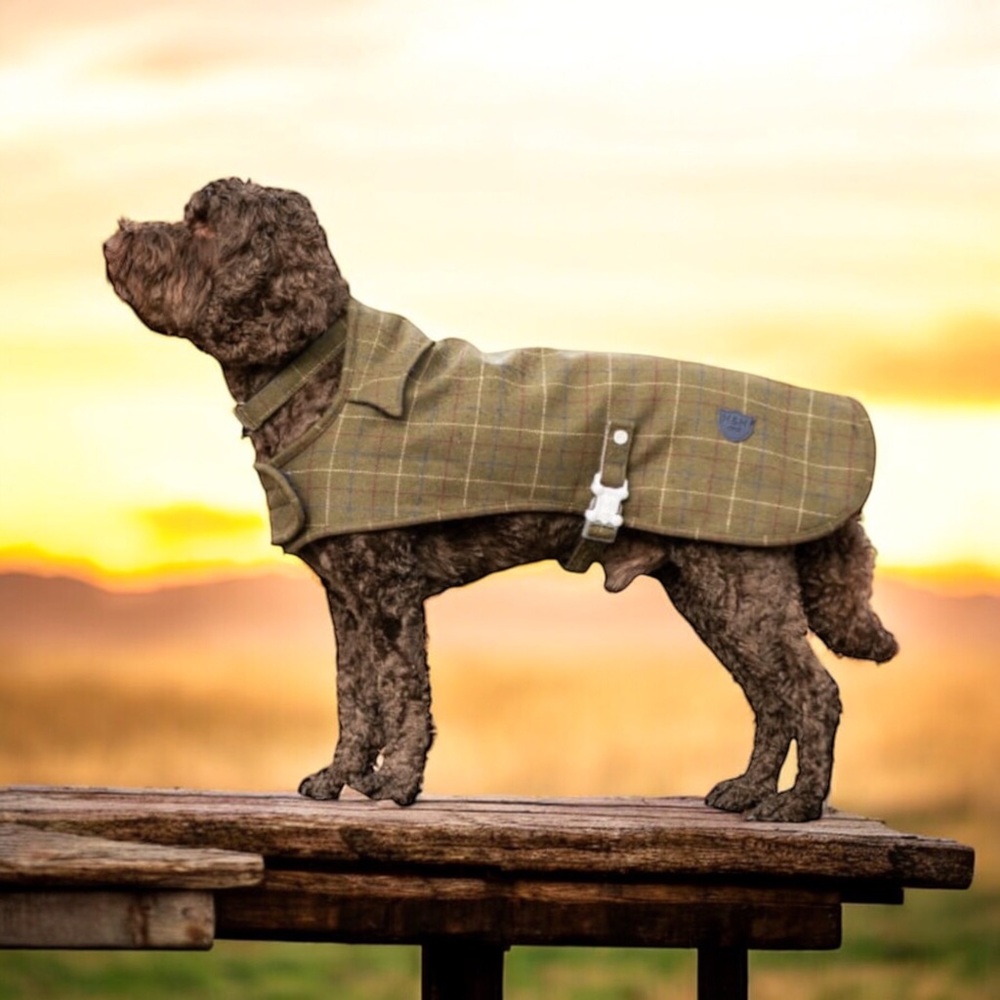 Hugo & Hudson DOG Couture Wool Blend Dark Green Checked Tweed Jacket  S, M
